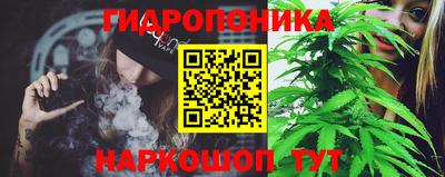 МДПВ Брянск