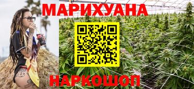 индика Бердск