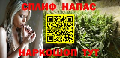 МДПВ Брянск
